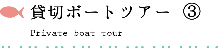 貸切ボートツアー